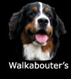knop_walk foto