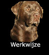 werkwijze